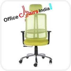 Ergonomic Executive Office Chairs