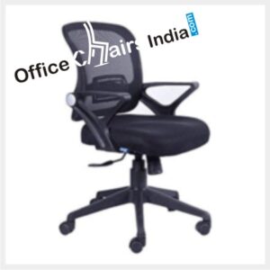 Ergonomic desk chairs Mumbai