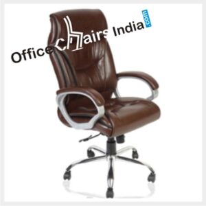 Ergonomic Chair for Back Pain